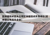 区块链技术巨头公司区块链技术开发评价[区块链公司龙头企业]