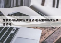 加拿大与新加坡区块链公司[新加坡最大区块链公司]